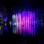 IMG_1303.jpg