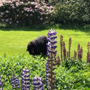 IMG_4829.jpeg